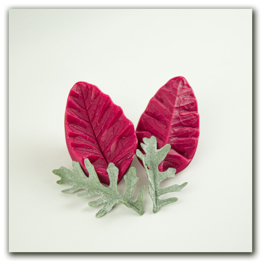 молд цинерарии