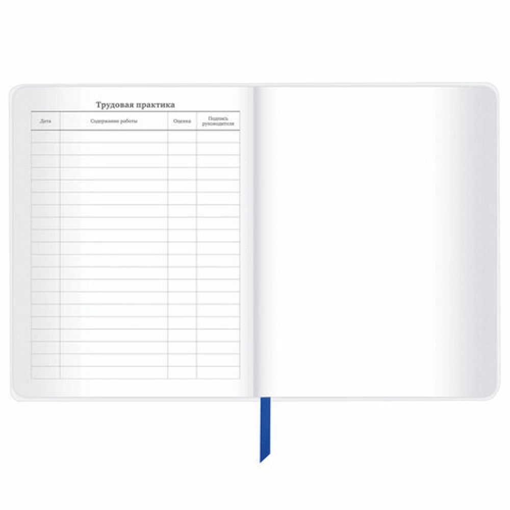 Дневник 1-11 класс 48 л., кожзам (гибкая), термотиснение, фольга, BRAUBERG, "Футбол", 106910