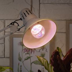 Фитолампа для растений светодиодная ЭРА FITO-11W-Ra90-E27 полного спектра 11 Вт Е27 | Фитолампы Е27