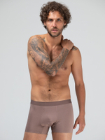 Мужские трусы-боксеры из вискозного полотна (Размер: 4X) (Цвет: коричневый)