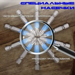 Набор намагниченных бит 10 шт.,хвостовик 1/4, PH2 х 50 мм, сталь S2