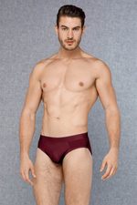 Набор из 3 трусов-брифов Doreanse Basic Cotton: зеленые, бордовые, синие (Размер: L) (Цвет: разноцветный)