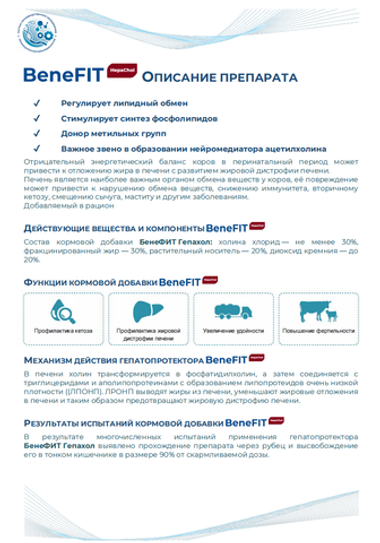 BeneFIT HepaChol - Гепатопротектор для КРС