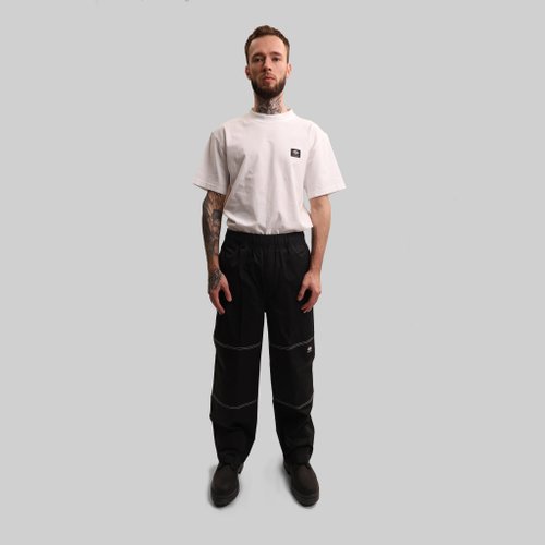 Брюки мужские Dickies Skateboarding Mount Vista Pants артикул:WPSK44BKX - купить в магазине Дайс