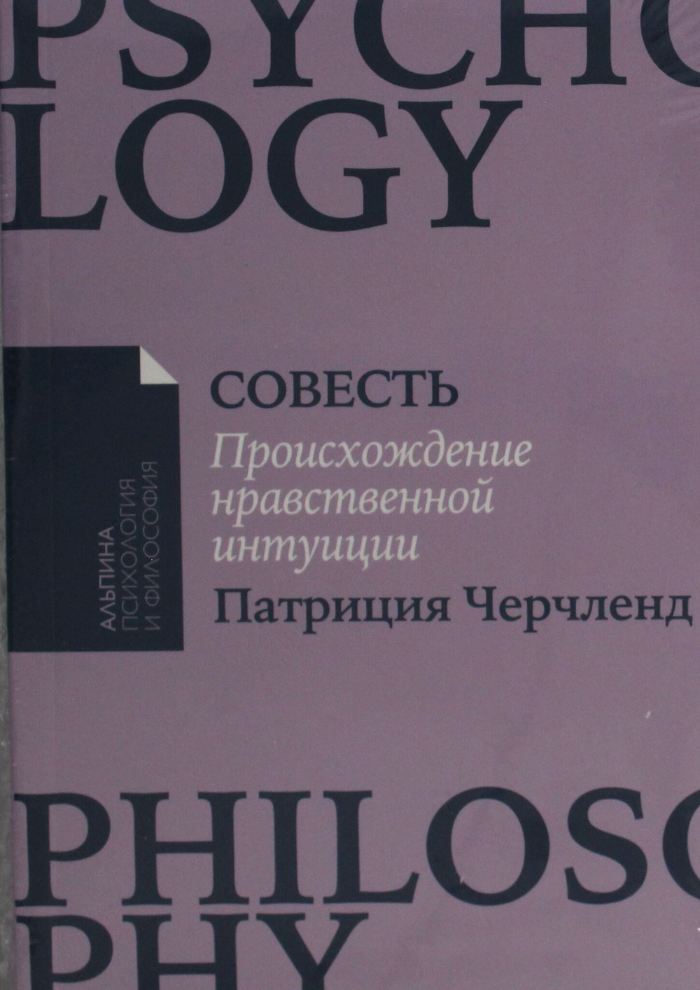 Совесть: Происхождение нравственной интуиции