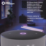 Умная колонка ЯНДЕКС Станция Мини 3, 12Вт, с Алисой, серый [yndx-00027gry]