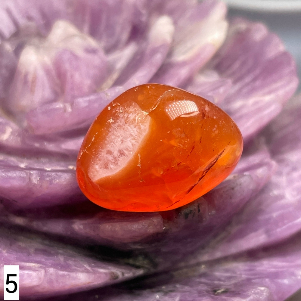 64169 Сердолик Галтовка 21-23мм №5--80