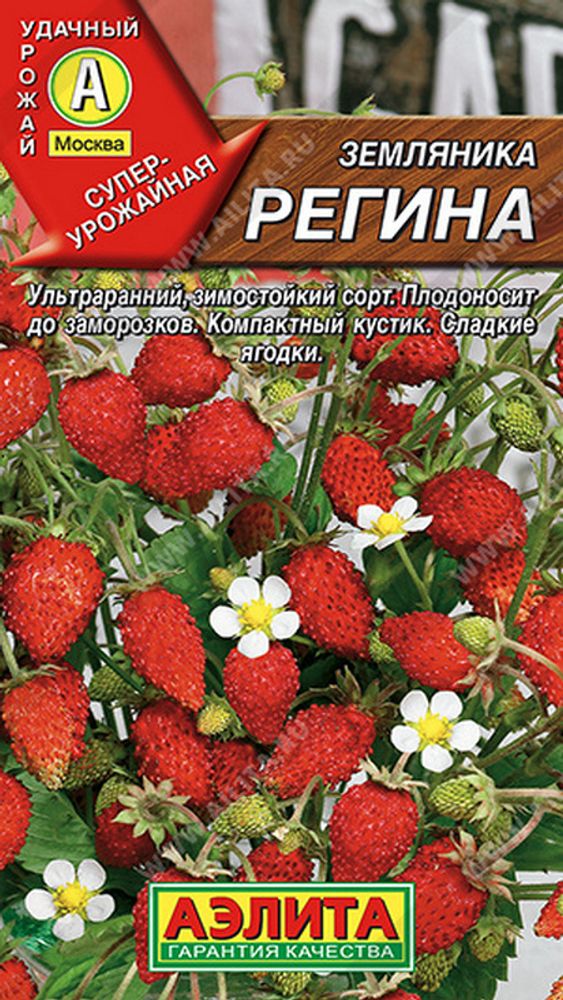 Земляника &quot;СТ. Регина&quot; 0,04г., Россия.