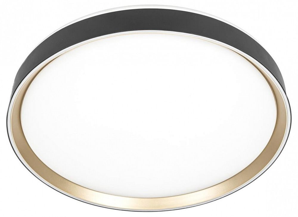 Накладной светильник Citilux BOSS CL751451G