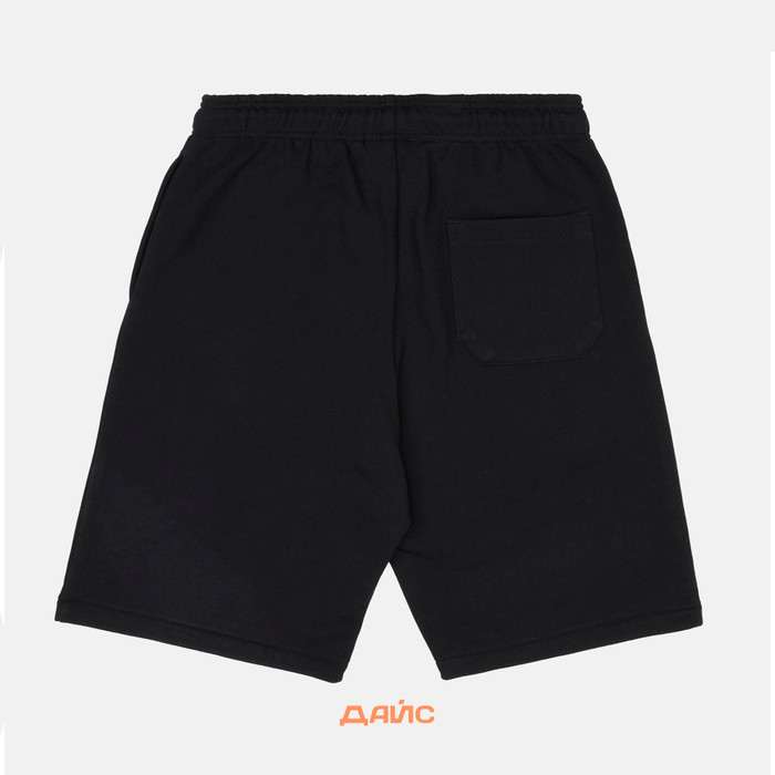 Шорты мужские Dickies Mapleton Short артикул:DK0A4Y83BLK1 - купить в магазине Дайс