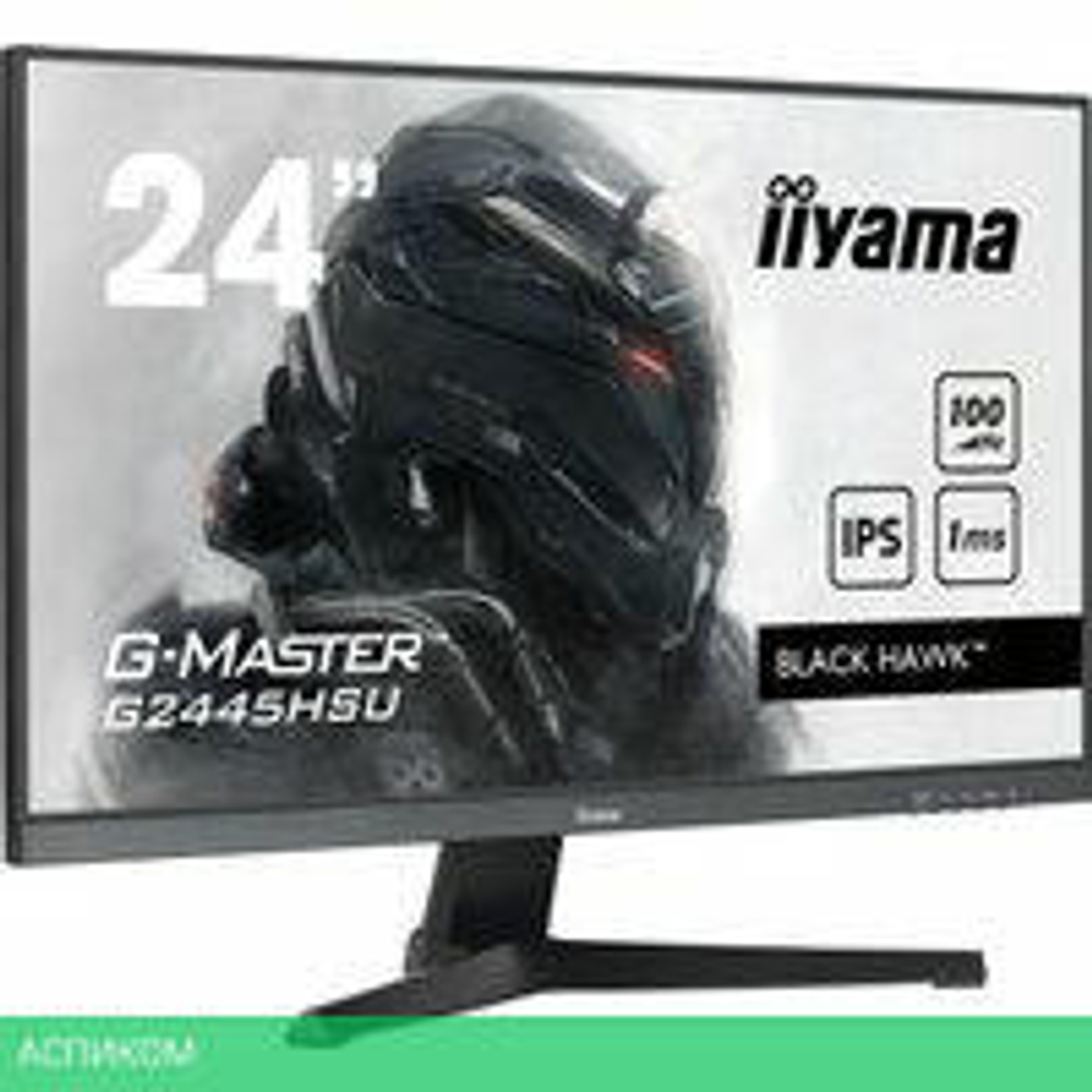 Игровой монитор Iiyama G-Master Black Hawk G2445HSU-B2