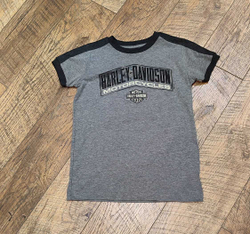 Футболка Harley-Davidson (Темно-серая)