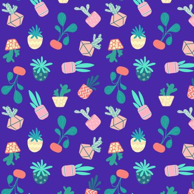 Домашние горшечные растения. Кактусы, суккуленты