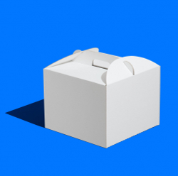 Короб ForGenika CARRY GO Белый 240*240*200 мм LP (50 шт./кор.)