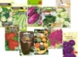 Новые поступления семян. Новинки сезона.