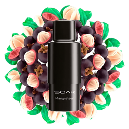 Картридж SOAK Q - Mangosteen (Мангустин)