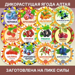 Шиповник сушеный Алтайский " Лесной"