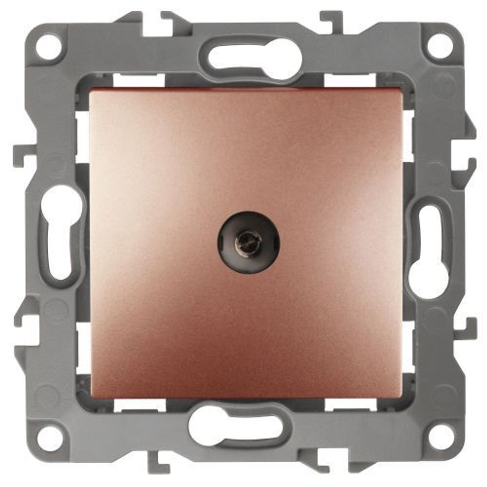 Розетка телевизионная проходная TV Эра12 12-3102-14 IP20 медь Эра Б0027439 Розетка телевизионная проходная TV Эра12 12-3102-14 IP20 медь Эра Б0027439