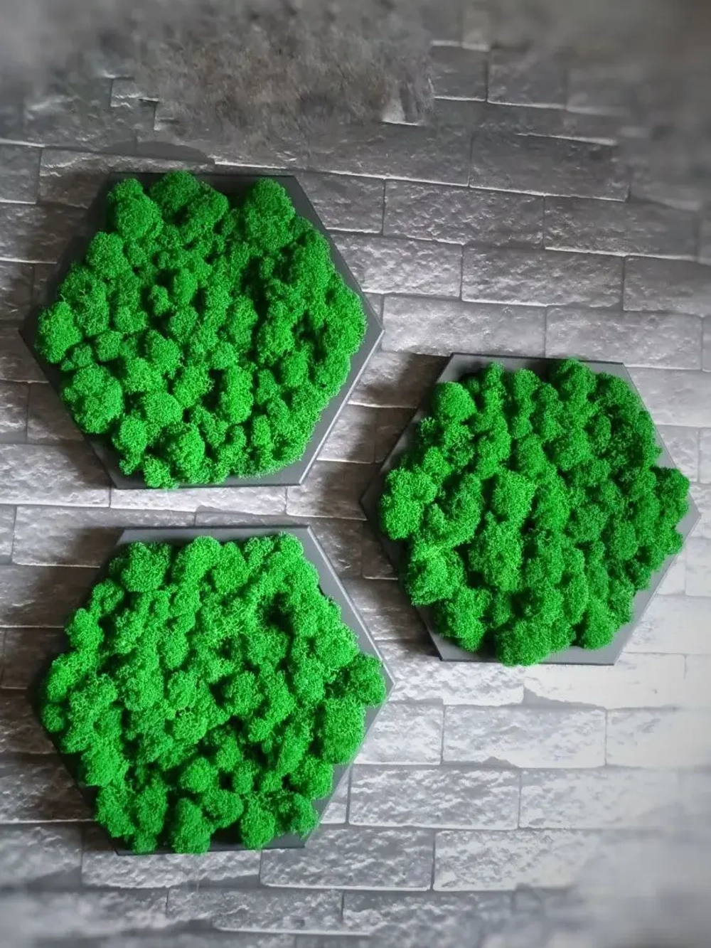 Панно из стабилизированного мха "Соты" набор 3 шт.