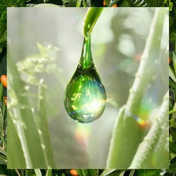 Herbal Essences 90% Natural Origin Hydrate - Кондиционер для волос /  Coconut Milk 275  ml  / GTIN 8006540099193