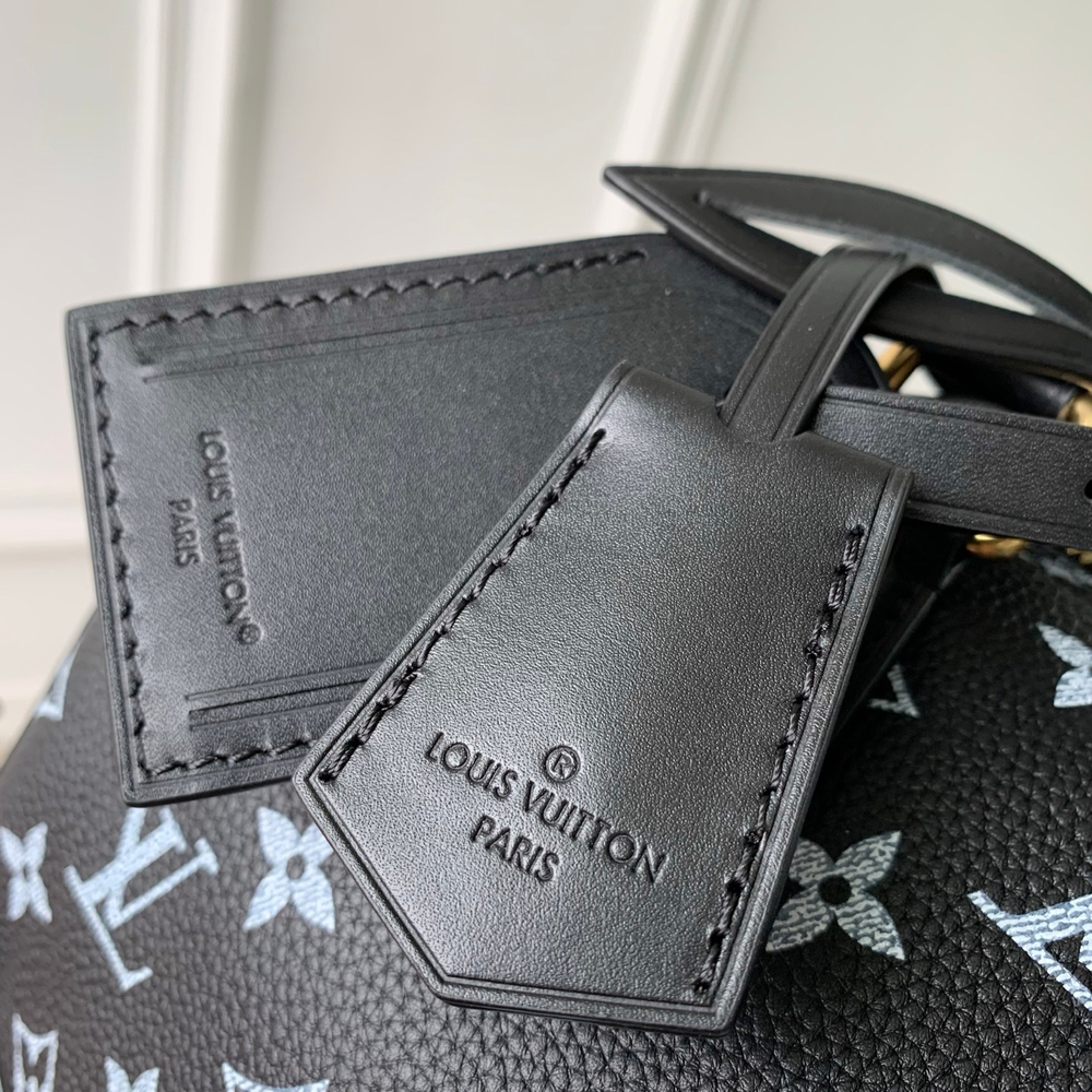 Louis Vuitton Speedy P9 Bandouliere 25