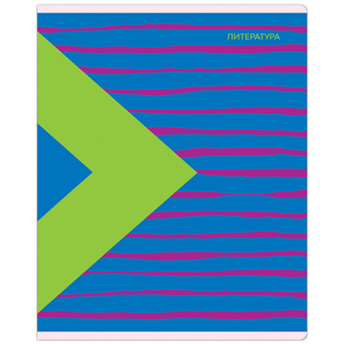 Тетрадь предметная 48л. MESHU "Bright splash" - Литература, матовая ламинация, выборочный УФ-лак