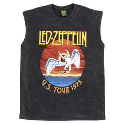 Безрукавка Led Zeppelin