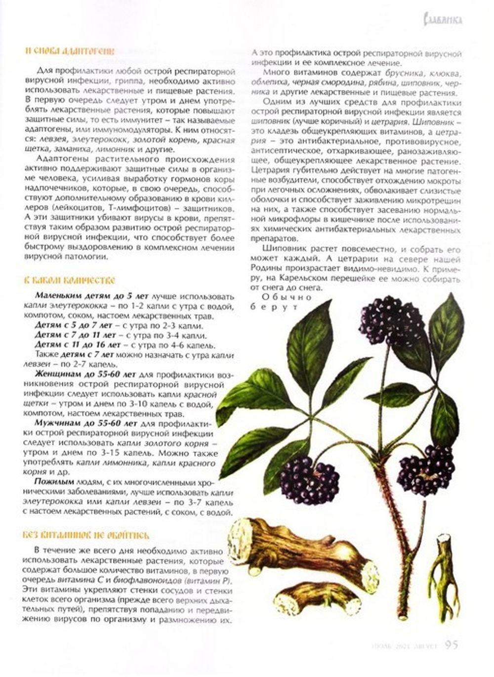 Журнал "Славянка" №4 июль-август 2021 г.