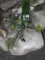 Статуэтка. Фарфор. Тихий страж двора. Capodimonte. Италия