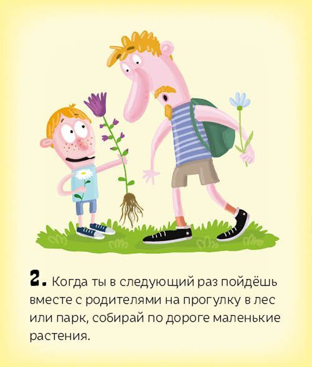 Лес круглый год