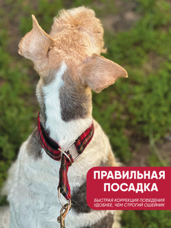 Ошейник полуудавка для мелких и средних собак, М