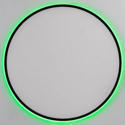 Накладной светильник Citilux NORMA CL749601