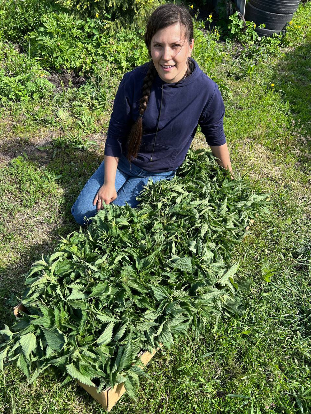 Капсулированная крапива