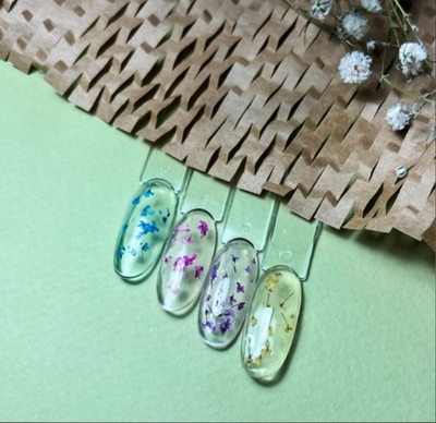 KLIO FLOWERS TOP Primrose