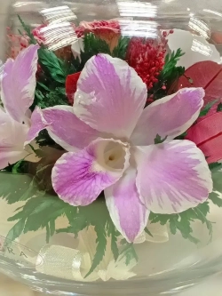 натуральные цветы в стекле, вакуум