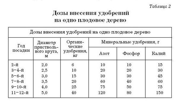 Комплексное удобрение для плодовых деревьев: как расшифровать NPK и не ошибиться с дозой Комплексное удобрение для плодовых деревьев: как расшифровать NPK и не ошибиться с дозой