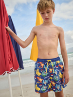 Плавки для мальчика Next E06-781, Синий