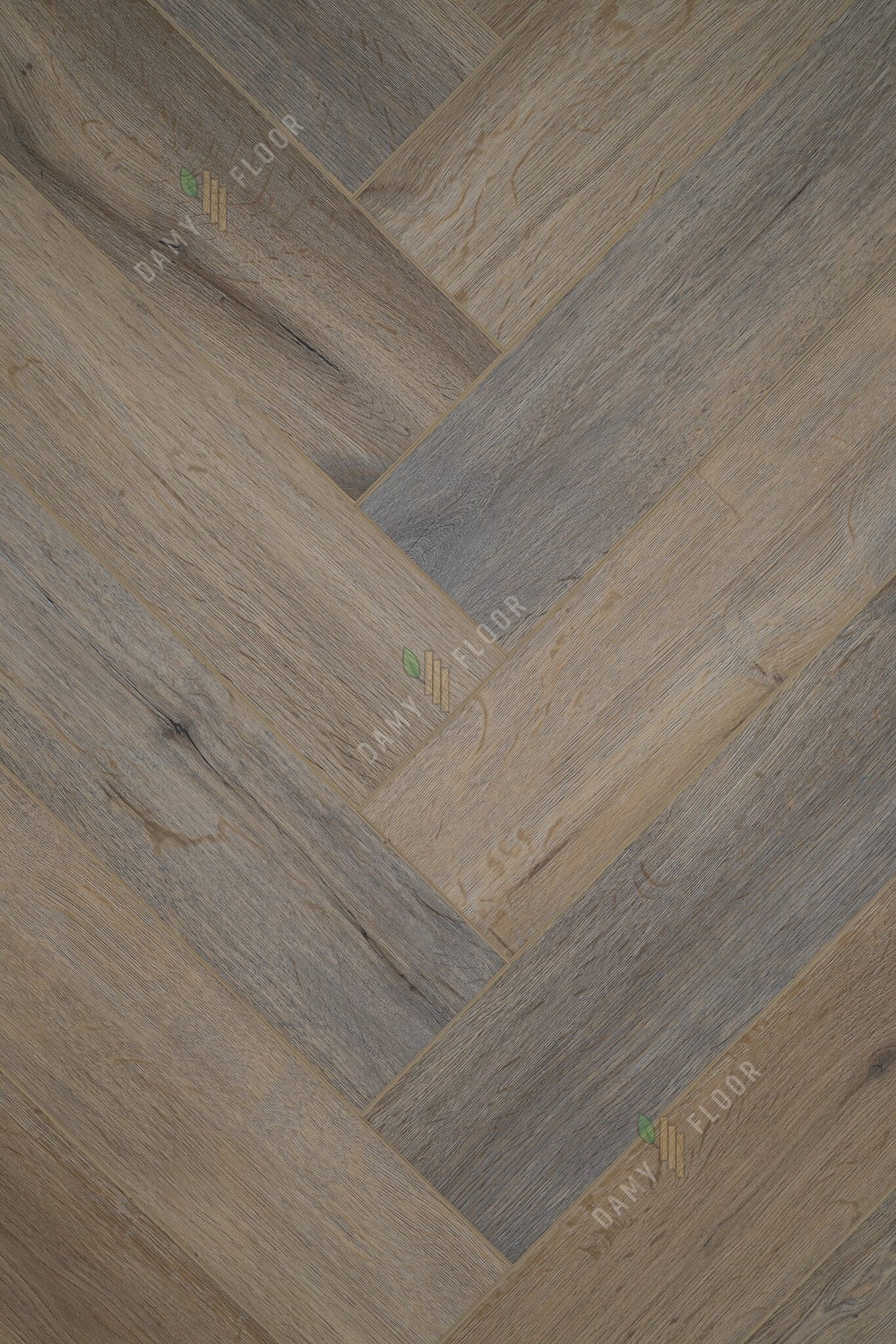 SPC ламинат Damy Floor 190707EL-01 Ковентри/Coventry
