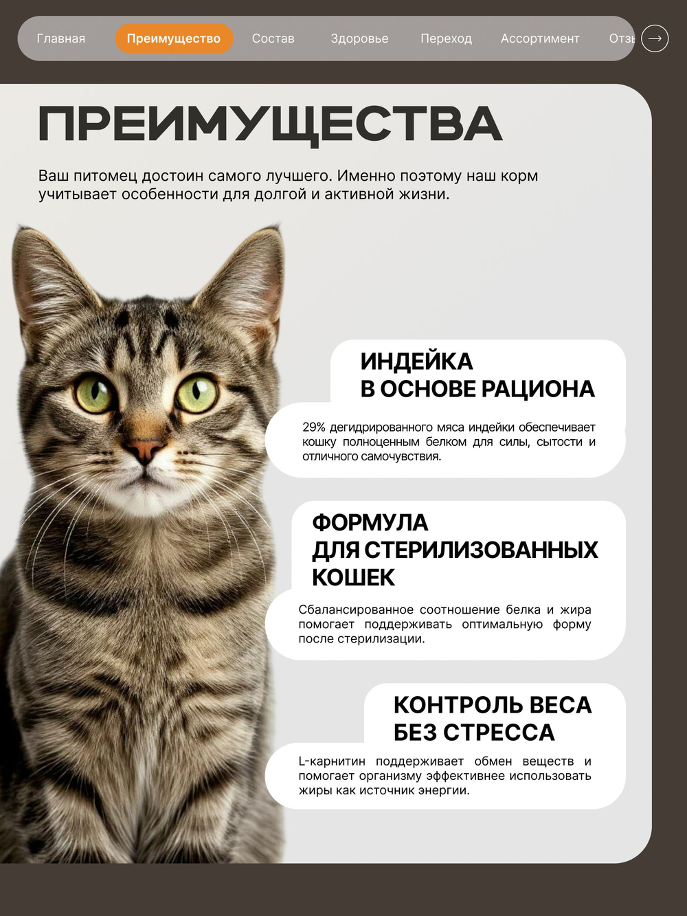 Корм сухой для стерилизованных кошек всех пород, с индейкой, 2 кг, QUATTRO