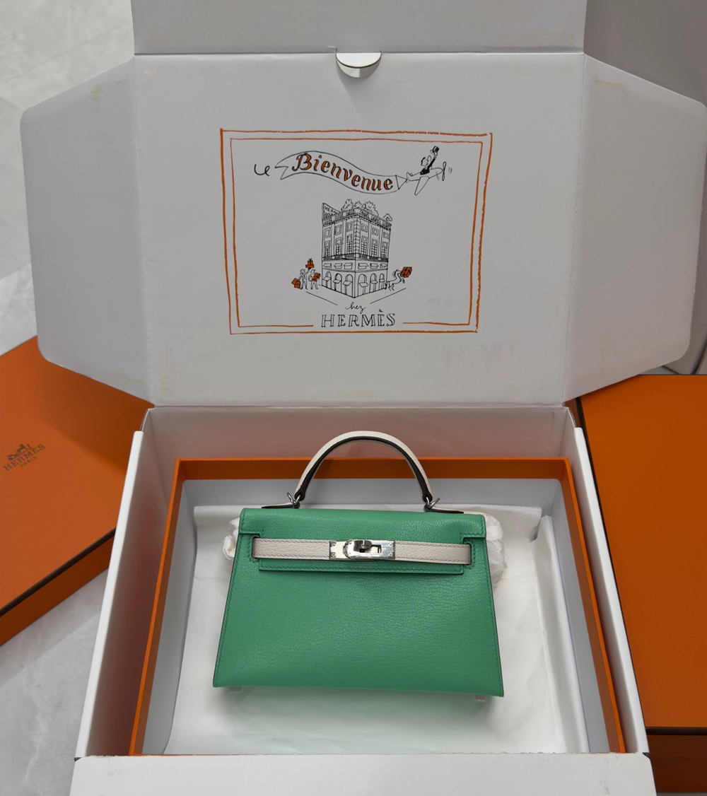 Сумка Hermes