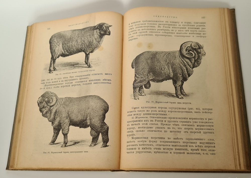 "Народная энциклопедия научных и прикладных знаний". В четырнадцати томах. 20 книг. 1912 г.