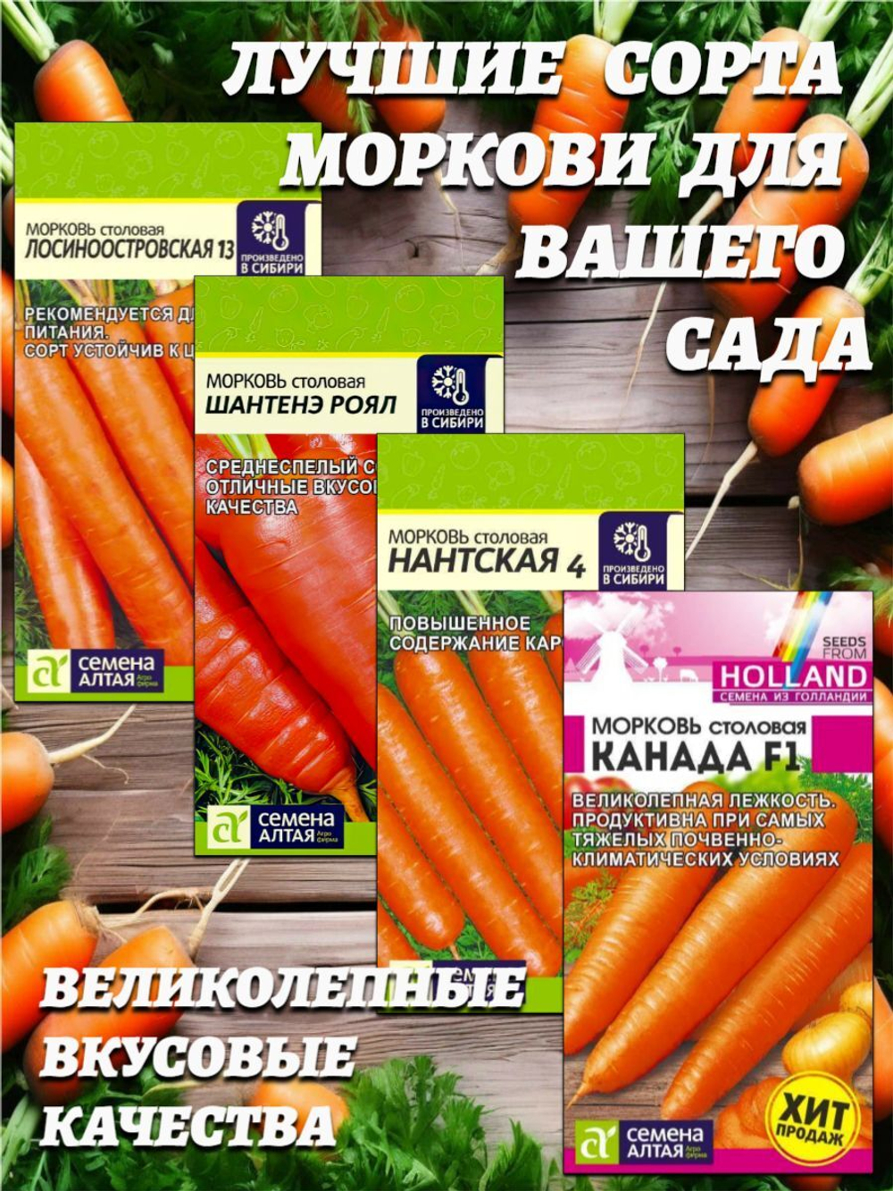 Набор лучших сортов моркови. Семена Алтая