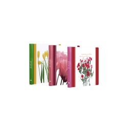 Image Art SA-30-Р/23*28 серия 188 цветы | Image Art