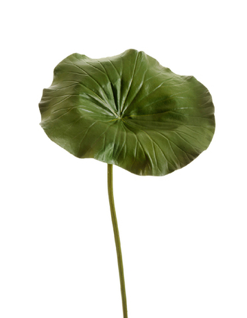 Лист Лотоса большой