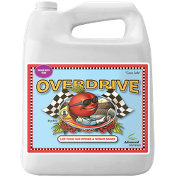 Advanced Nutrients Overdrive 250мл, 0.5л, 1л, 4л. Сильнейший стимулятор цветения и формирования плодов на природной органической основе. Доводит созревание до логического завершения. Увеличивает размер плодов и подготавливает растение к сбору урожая. Купить с доставкой по Москве и МО по низкой цене.