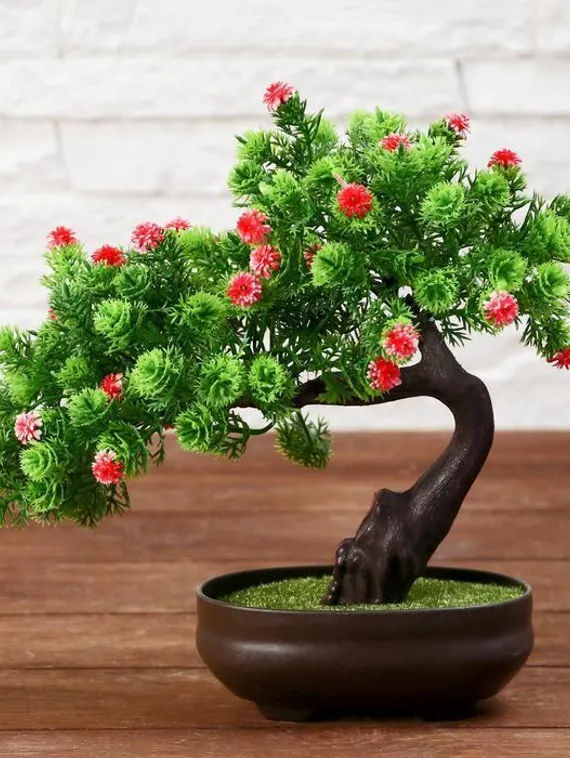 Бонсай в горшке "Деревце изгиб" 12х17 см, микс