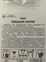 Томат Сибирский сувенир 20 шт СМТ-323