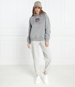 Худи Gant - серый(4204567)