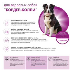 Корм сухой для взрослых собак породы Бордер-колли, премиум полнорационный комплекс, с говядиной, 2,5 кг, QUATTRO