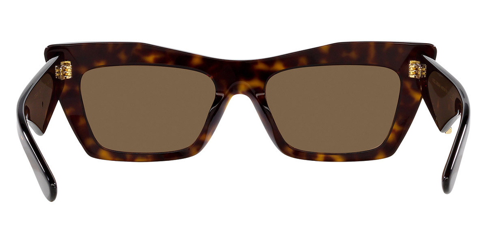 Dolce & Gabbana DG4435 502/73
